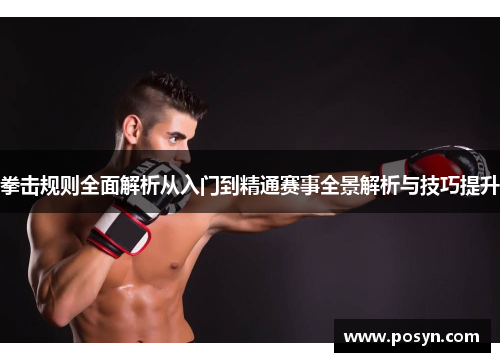 拳击规则全面解析从入门到精通赛事全景解析与技巧提升