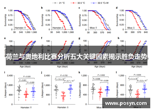 荷兰与奥地利比赛分析五大关键因素揭示胜负走势