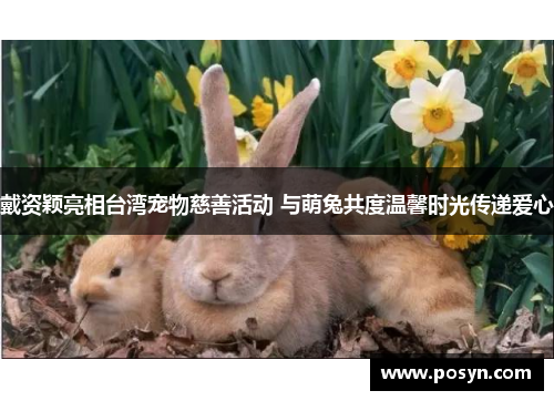 戴资颖亮相台湾宠物慈善活动 与萌兔共度温馨时光传递爱心